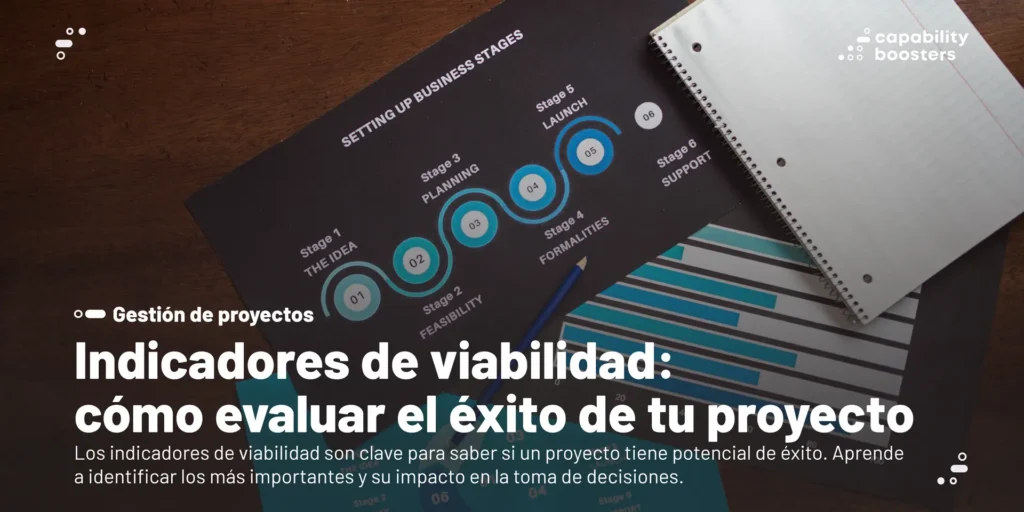 Indicadores de viabilidad